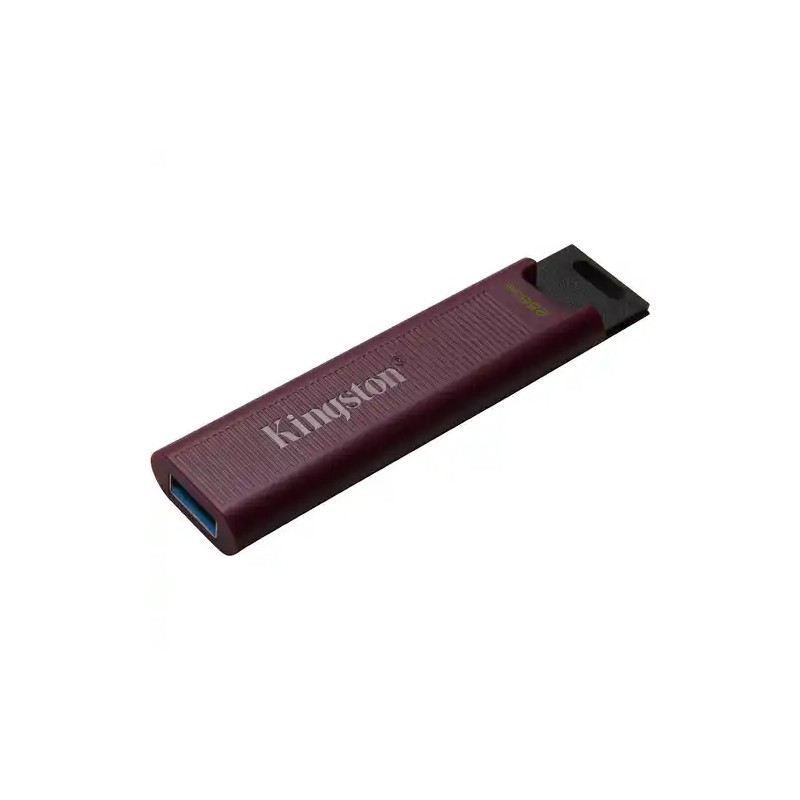 USB Flash 3.2 256GB Kingston DataTraveler Max DTMAXA/256GB