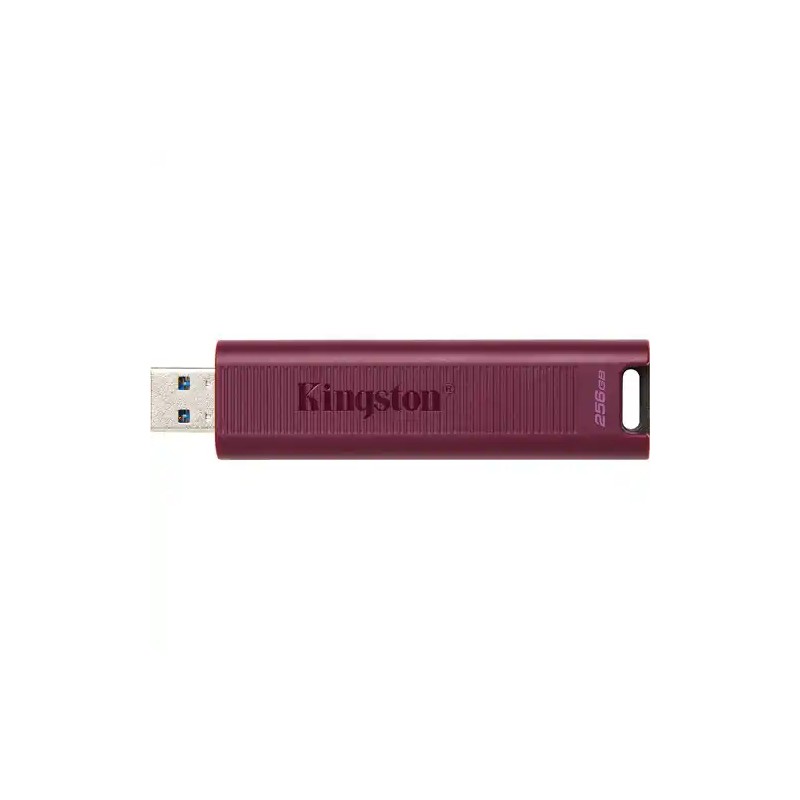 USB Flash 3.2 256GB Kingston DataTraveler Max DTMAXA/256GB