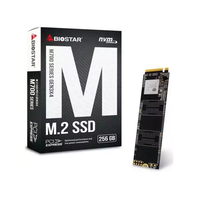 SSD M.2 512GB Biostar 1700MBs/1450MBs M700