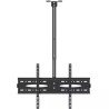 Nosač za TV plafonski MAX CS80 37-80/tilt/50kg