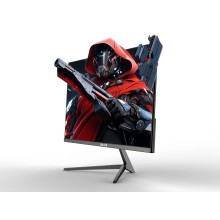 Monitor 23.8 Zeus Gaming ZUS230GMG 1920x1080/Full HD/IPS/165Hz/1ms/HDMI/DP/USB