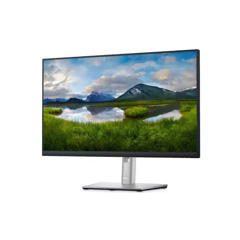 Monitor 23.8 Dell P2422H 1920x1080/Full HD/IPS/5ms/HDMI/DP/VGA/USB/Pivot