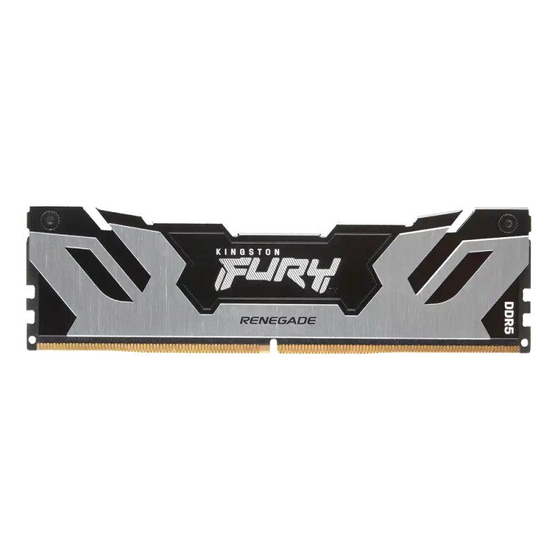 Memorija DDR5 16GB 6400MHz Kingston Fury Renegade KF564C32RS-16