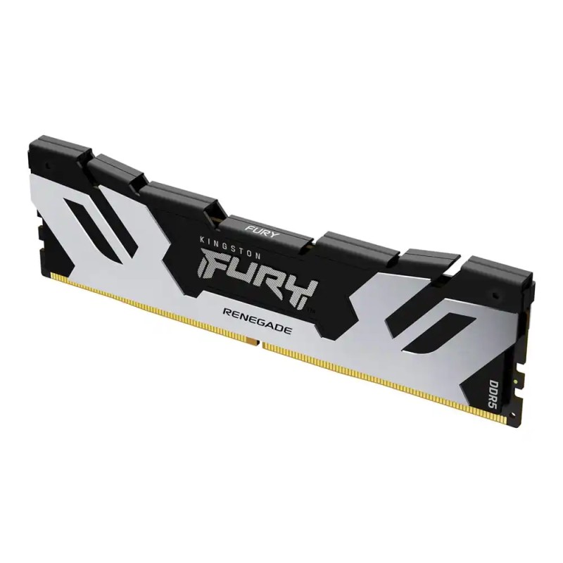 Memorija DDR5 16GB 6400MHz Kingston Fury Renegade KF564C32RS-16