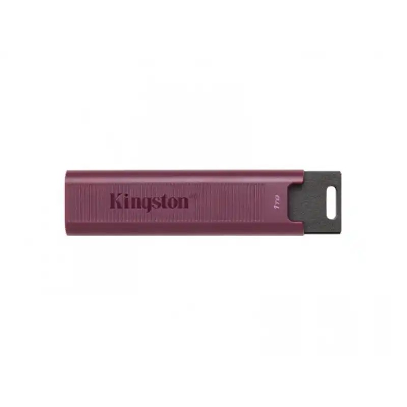 USB Flash 3.2 1TB Kingston DataTraveler Max DTMAXA/1TB